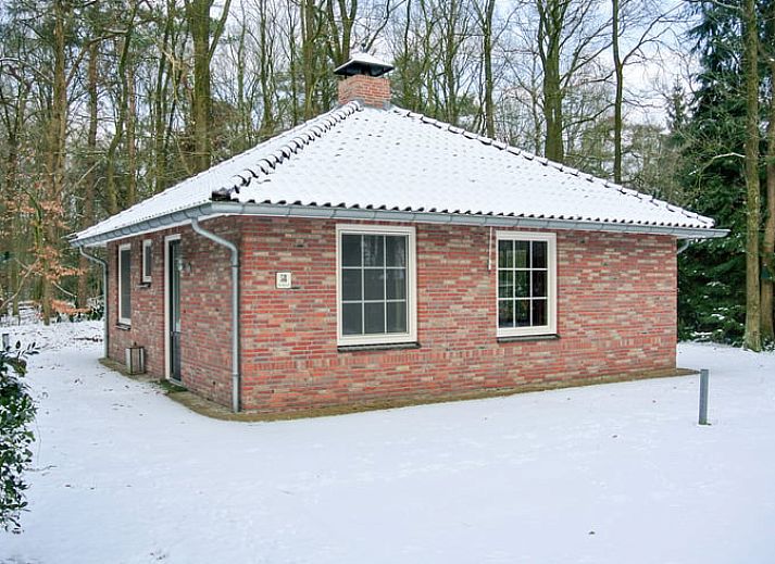 Vakantiehuis in Nutter, serene tuin van vakantiehuis in Twente, Overijssel, omringd door bos.