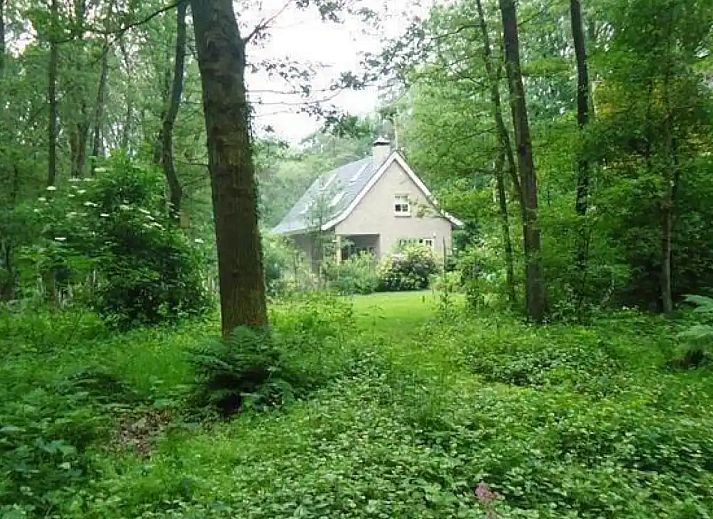 Unterkunft 520248 - Ferienhaus Twente - Bosvilla Zommerloof