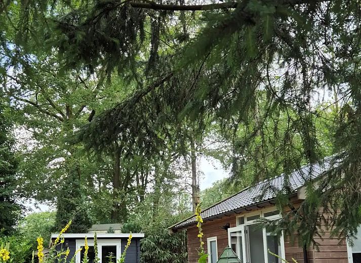 Unterkunft 520252 - Ferienhaus Twente - Blij Buiten