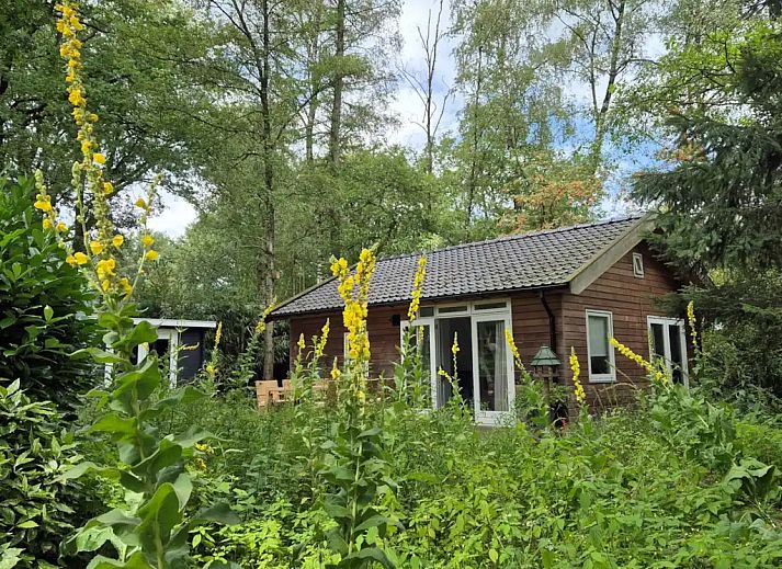 Unterkunft 520252 - Ferienhaus Twente - Blij Buiten