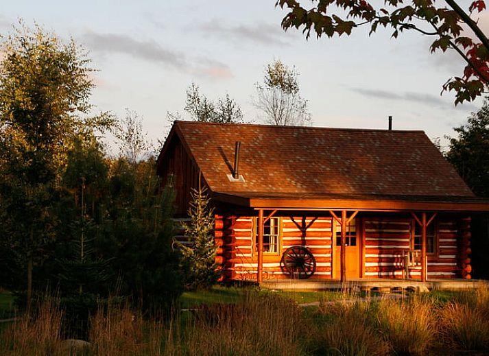 Unterkunft 520408 - Ferienhaus Twente - Vakantiehuisje in Den Ham