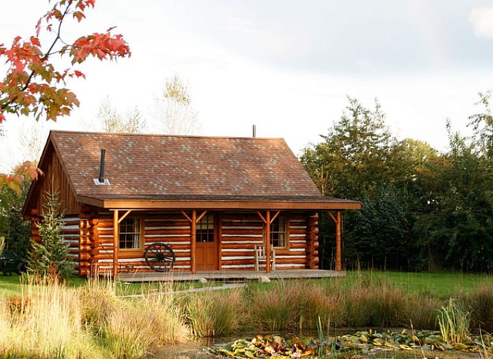 Unterkunft 520408 - Ferienhaus Twente - Vakantiehuisje in Den Ham