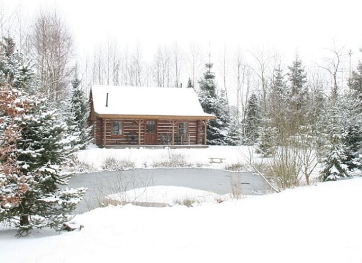 Unterkunft 520408 - Ferienhaus Twente - Vakantiehuisje in Den Ham