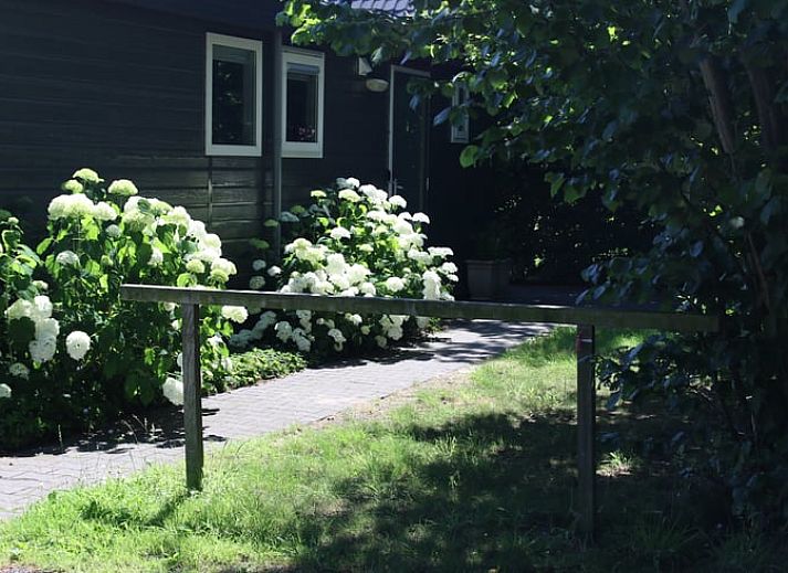 Gemuetliches Ferienhaus Cottage in Den Ham in der gruenen Natur von Twente, Overijssel, mit einladender Veranda und umgeben von ueppiger Vegetation.
