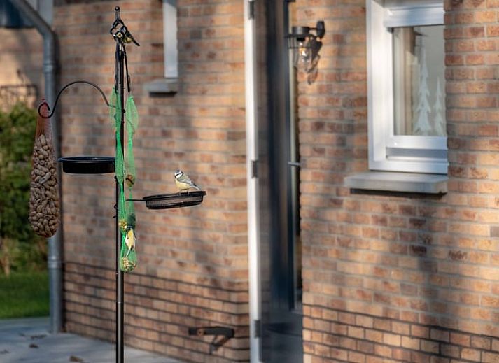 Buitenkant van Vakantiehuisje in Den Ham, Twente, omringd door groene tuin en charmante paden.