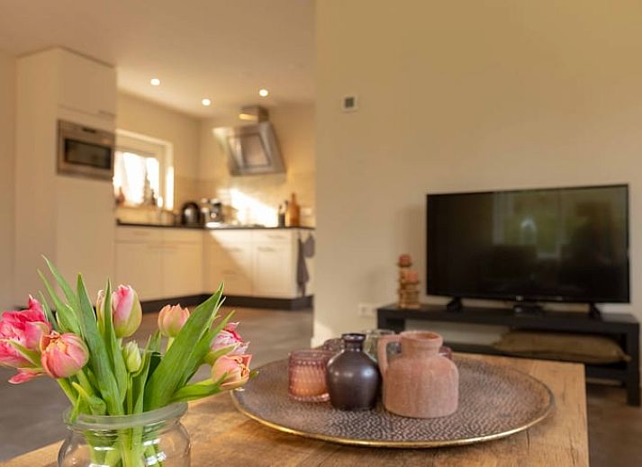 Vooraanzicht van Vakantiehuisje in Den Ham, Twente, met ruime oprit en omringende natuur.