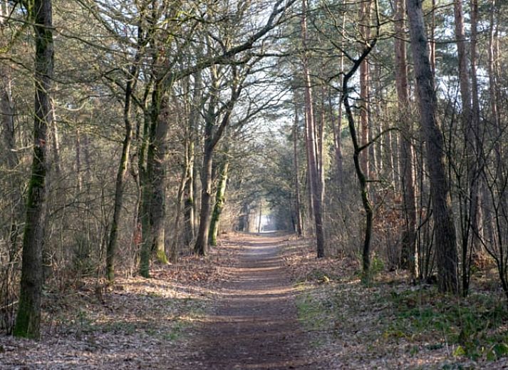 Achterzijde van Vakantiehuisje in Den Ham, Twente, met groene omgeving en moderne architectuur.