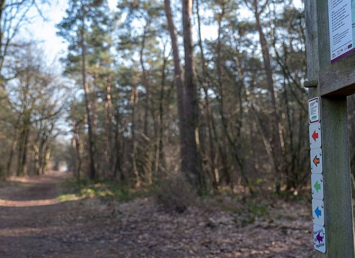 Achterzijde van Vakantiehuisje in Den Ham, Twente, met groene omgeving en moderne architectuur.