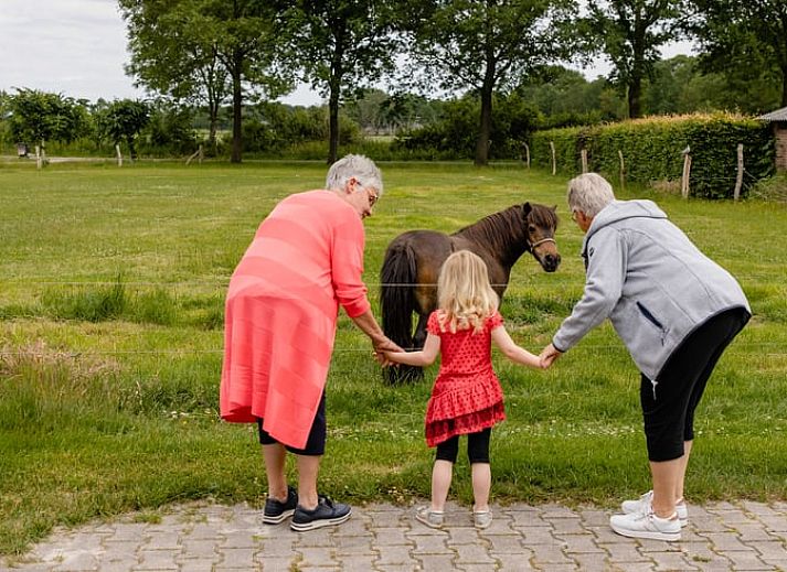 Cozy bedroom in cottage in Den Ham, Twente. Vacation home with comfortable furnishings in the heart of Overijssel nature.