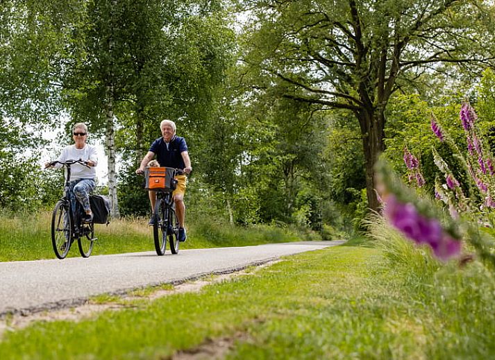 Cozy bedroom in Cottage in Den Ham, Twente, Overijssel with atmospheric lighting and comfortable beds.