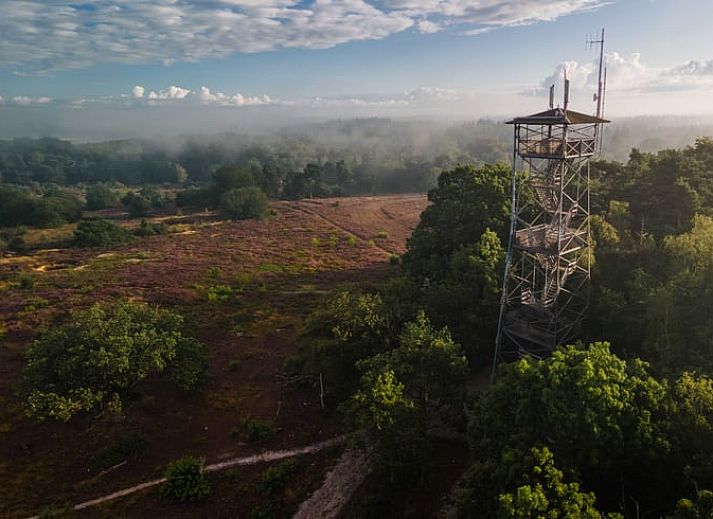 Family enjoys a game on the terrace of Huisje in Den Ham, a vacation home in green Twente, Overijssel.