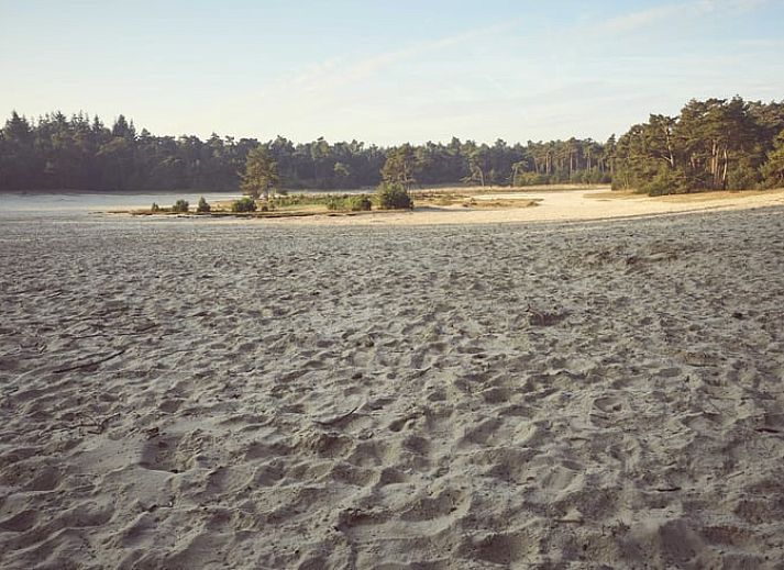 Family enjoys a game on the terrace of Huisje in Den Ham, a vacation home in green Twente, Overijssel.