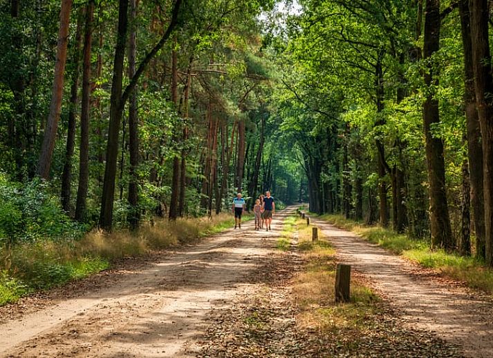 Guest house 520439 - Holiday property Twente - Huisje in Den Ham (Twente)