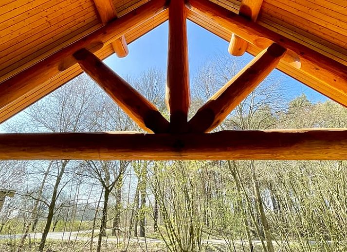 Gemuetliches Wohnzimmer im Ferienhaus in Den Ham, Twente mit Holzinterieur und Blick auf die natuerliche Umgebung von Overijssel.