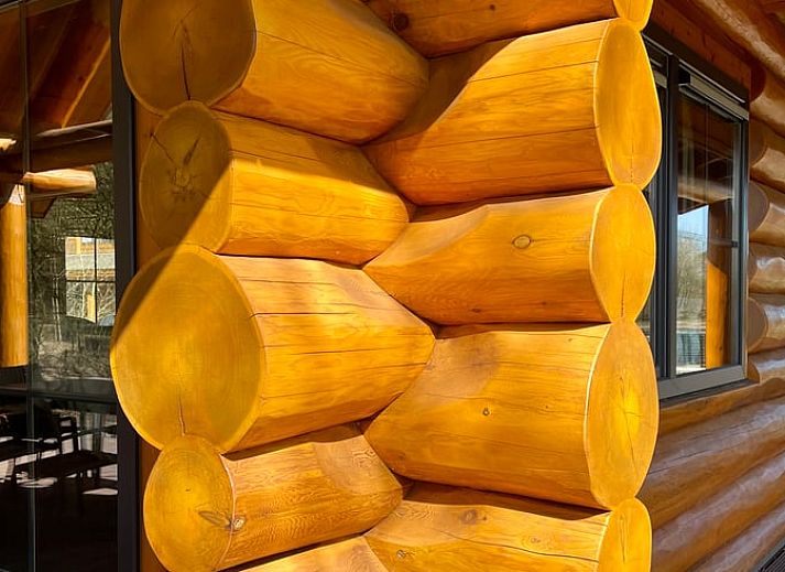 Gemuetliches Wohnzimmer im Ferienhaus in Den Ham, Twente mit Holzinterieur und Blick auf die natuerliche Umgebung von Overijssel.