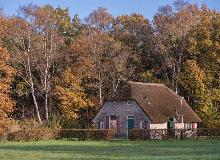 Verblijf 520450 • Vakantiewoning Twente • Huisje in Den Ham (Twente) 