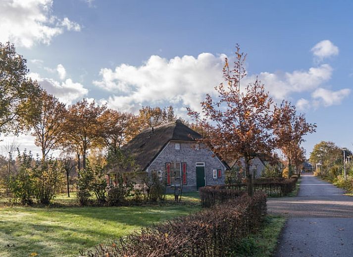 Charming vacation home in Den Ham, Twente, Overijssel, surrounded by autumn trees and rustic nature, ideal for a relaxing stay.
