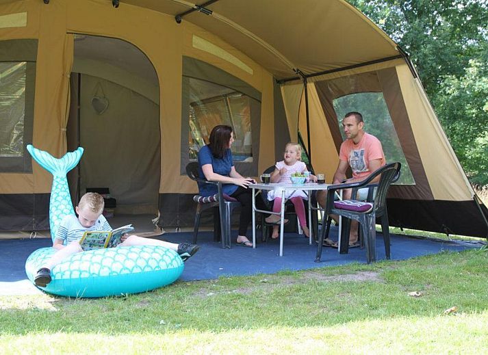 Unterkunft 520462 - Zelthaus Twente - Safaritent