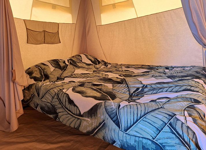 Unterkunft 520462 - Zelthaus Twente - Safaritent