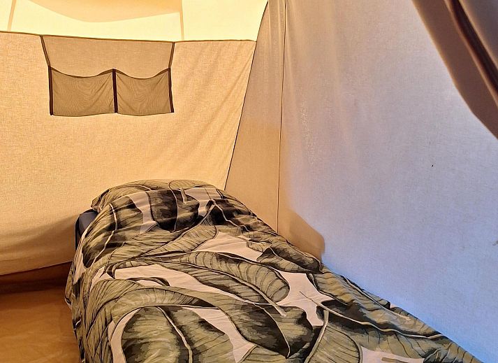 Unterkunft 520462 - Zelthaus Twente - Safaritent