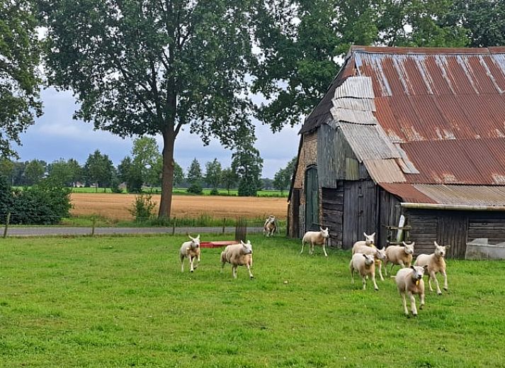Vooraanzicht van Huisje in Den Ham, een charmant vakantiehuis in Twente, Overijssel.