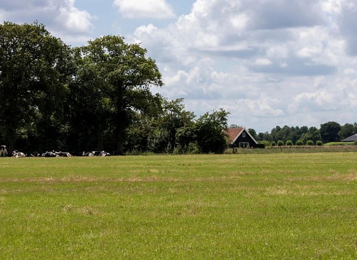 Das Ferienhaus Assenhoekje in Den Ham, Twente, ist umgeben von gruener Natur und rustikalem Charme, ideal fuer einen entspannten Aufenthalt.