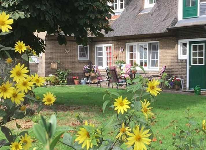 Cozy vacation home Cottage in De Lutte in Twente, Overijssel, surrounded by green nature and rustic charm.