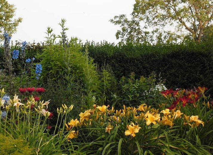 Enjoy the serene garden and charming terrace of Huisje in De Lutte, an attractive vacation home in Twente, Overijssel.