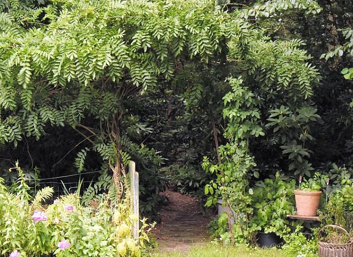 Enjoy the serene garden and charming terrace of Huisje in De Lutte, an attractive vacation home in Twente, Overijssel.