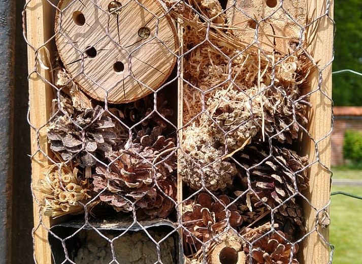 Cozy bedroom in Cottage in De Lutte in Twente, Overijssel, with rustic wooden furniture and atmospheric lighting.