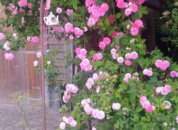 Cozy bedroom in Cottage in De Lutte in Twente, Overijssel, with rustic wooden furniture and atmospheric lighting.