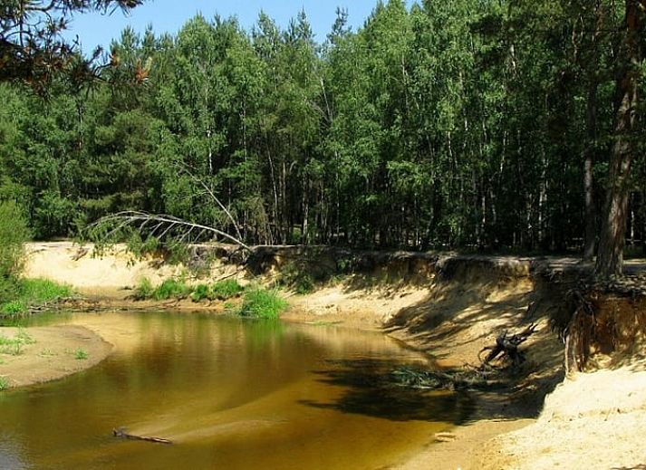 Cozy bedroom in Cottage in De Lutte in Twente, Overijssel, with rustic wooden furniture and atmospheric lighting.