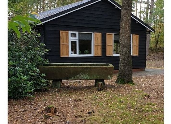 Verblijf 520512 • Vakantiewoning Twente • Huisje in de Lutte