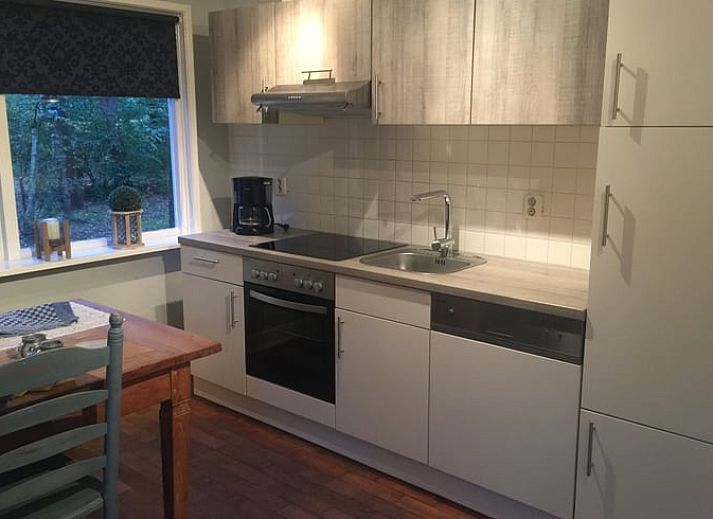 Huisje in de Lutte, een charmant vakantiehuis in Twente, Overijssel, omgeven door serene bossen en natuurlijke schoonheid.