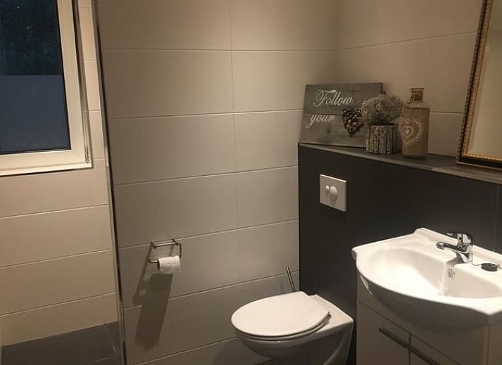 Huisje in de Lutte, een charmant vakantiehuis in Twente, Overijssel, omgeven door serene bossen en natuurlijke schoonheid.