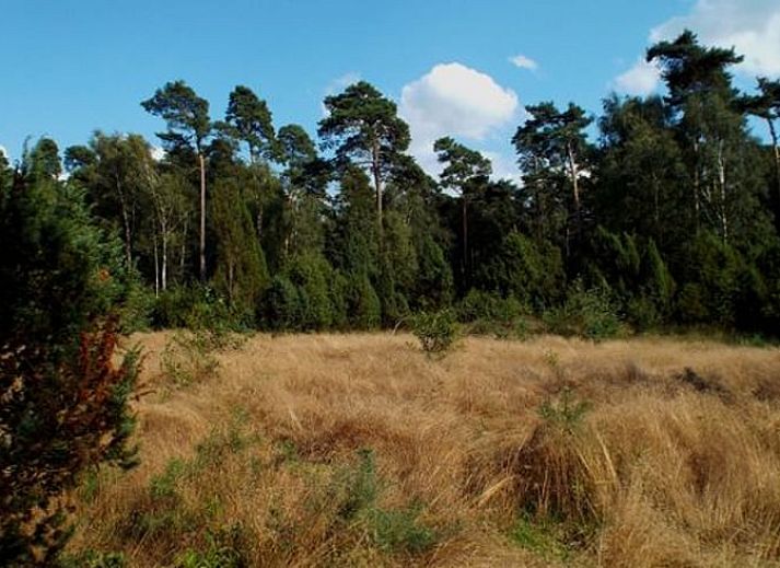 Gezellige woonkamer van Huisje in de Lutte, vakantiehuis in De Lutte, Twente, met comfortabele banken en uitzicht op de groene natuur.