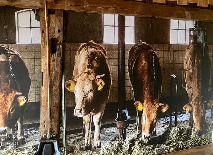 Unterkunft 520517 - Ferienhaus Twente - Huisje in de Lutte