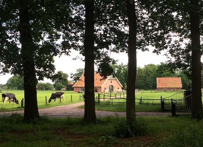 Unterkunft 520517 - Ferienhaus Twente - Huisje in de Lutte