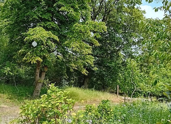 Unterkunft 520521 - Ferienhaus Twente - Vakantiehuis in de Lutte