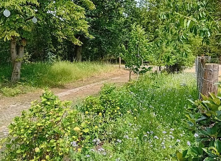 Unterkunft 520521 - Ferienhaus Twente - Vakantiehuis in de Lutte