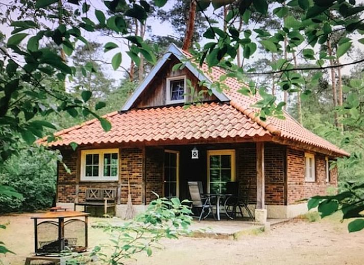 Vacation home in de Lutte, a charming vacation home in Twente, surrounded by green nature and rustic charm in Overijssel.