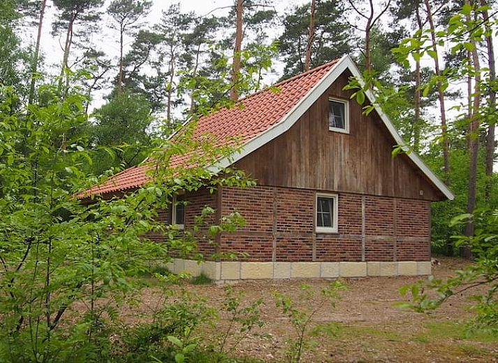 Vacation home in de Lutte, a charming vacation home in Twente, surrounded by green nature and rustic charm in Overijssel.