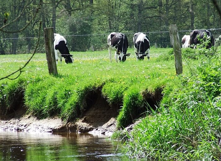 Vacation home in de Lutte, Twente, surrounded by green nature. Enjoy peace and quiet in this charming vacation home in Overijssel.