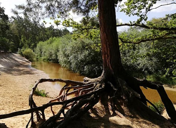 Cozy living room of Holiday home in de Lutte, Twente, with comfortable sofa and rustic decor in Overijssel.
