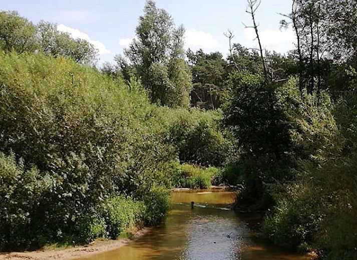 Cozy living room of Holiday home in de Lutte, Twente, with comfortable sofa and rustic decor in Overijssel.