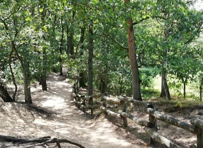 Cozy living room of Holiday home in de Lutte, Twente, with comfortable sofa and rustic decor in Overijssel.