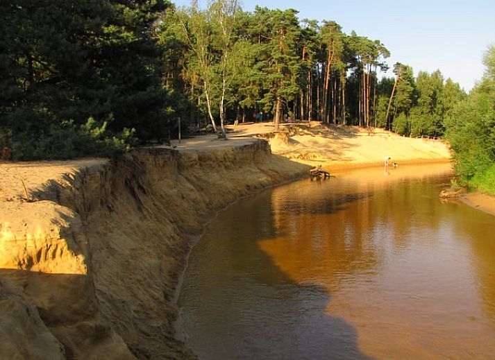 Cozy living room of Holiday home in de Lutte, Twente, with comfortable sofa and rustic decor in Overijssel.