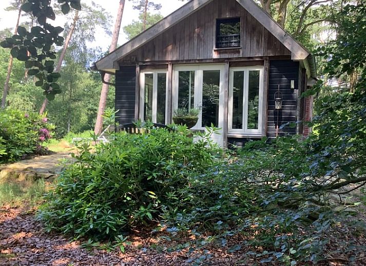 Rustiek vakantiehuis in de Lutte, Twente omgeven door weelderige natuur in Overijssel.