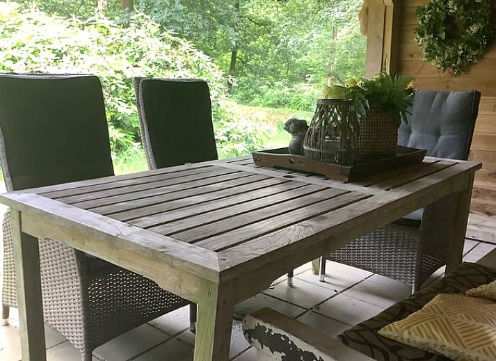 Gezellig vakantiehuis in de Lutte, Twente met uitzicht op groene bossen in Overijssel.