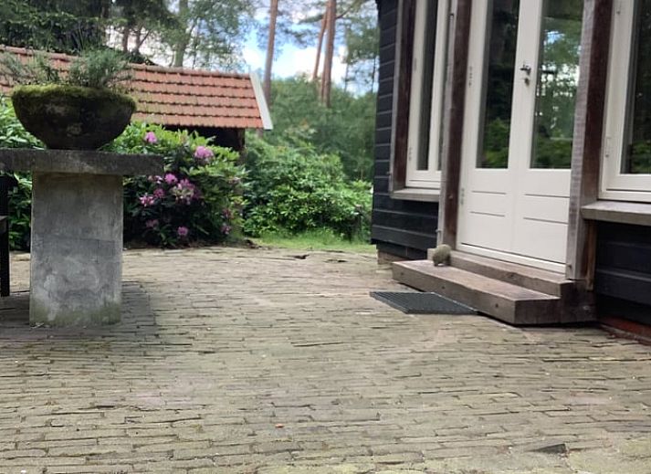 Gezellig vakantiehuis in de Lutte, Twente met uitzicht op groene bossen in Overijssel.